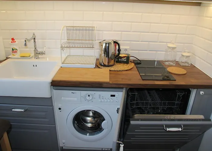 German18-3a Luxury Daire Vilnius